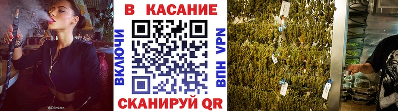 Купить наркотики Жердевка Alpha PVP  Марихуана  Меф мяу мяу  Гашиш 