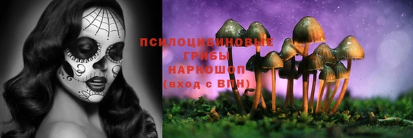 спайс Алексеевка