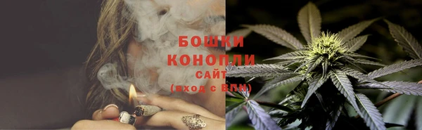 трава Абаза
