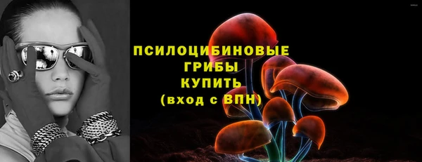 трава Абаза