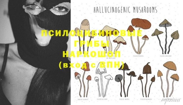 спайс Алексеевка